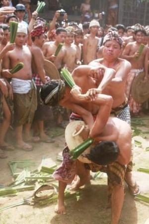 Yang Seru & Menegangkan di Bali: Nonton Perang Pandan
