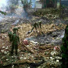 Bau! Sampah Banjir Menumpuk di Kali Ciliwung Belakang Rusun Jatinegara