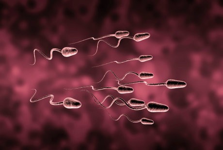 Asupan-asupan Ini Bikin Sperma Terasa Lebih Manis