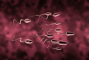 Asupan-asupan Ini Bikin Sperma Terasa Lebih Manis