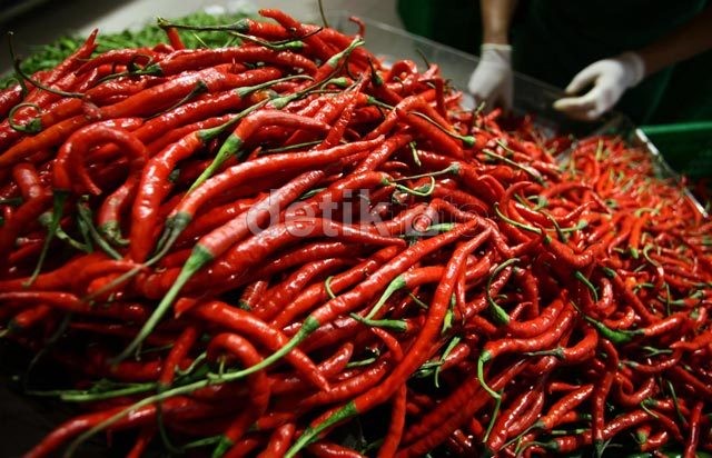 Harap Tenang! Dua Minggu Lagi Harga Cabai Turun