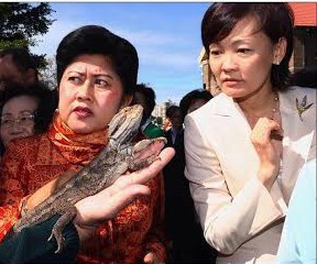 Mimik Ngeri Bu Ani Melihat Si Bearded Dragon