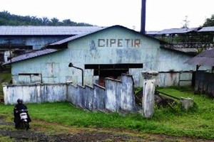 Usaha Terakhir Pabrik Cipetir: Tetap Berproduksi dan Rutin Ekspor ke Jerman