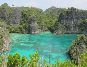 Ini Dia Aneka Paket Wisata ke Raja Ampat