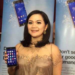 Strategi Sapu Jagat ala Sony