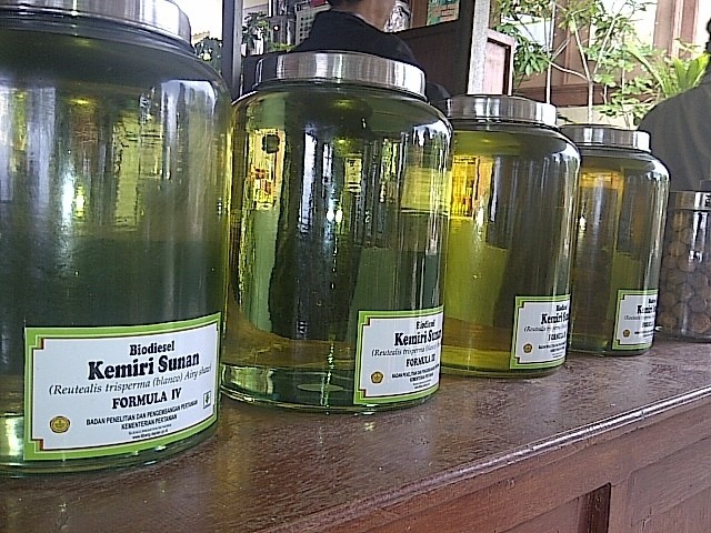 Curhat Bioetanol Tak Dibeli Pertamina, PTPN X Pilih Ekspor ke Filipina