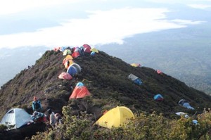 Mendaki Gunung Berapi Tertinggi di Indonesia