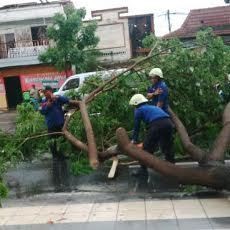 Kecepatan Angin 50 Km/Jam Hantam Surabaya & Beberapa Daerah di Jatim