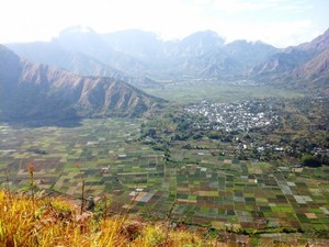 Sawah Warna-warni di Kaki Bukit Pergasingan, Rinjani