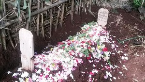 Anak Jadi Korban Jambret, Ayah: Andrea Salma Orang yang Menyenangkan