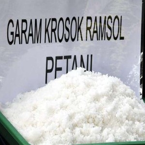 Ini yang Harus Dilakukan Agar RI Swasembada Garam