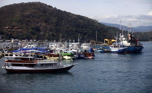 Hanya 32% Potensi yang Digali, Laut Maluku Jadi Sasaran Kapal Asing Maling Ikan