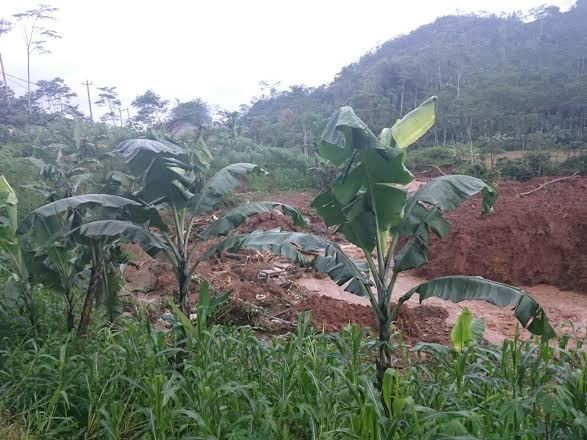 Datangi Lokasi Longsor Banjarnegara, Menteri PU Minta Tambahan Alat Berat