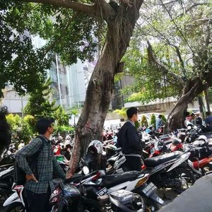 Dishub DKI Sita Helm Saat Razia Parkir, Ahok: Itu Kreativitas Orang Lapangan