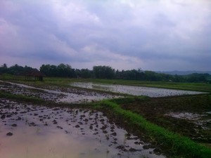 Makam Keramat Direlokasi, Waduk Jatigede Berikan Kemakmuran Bagi Rakyat Sumedang