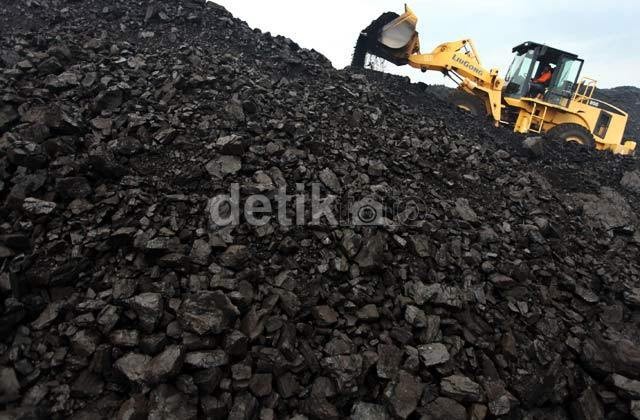 Setoran Non Pajak Batu Bara dan Mineral Ditargetkan Naik 25% Jadi Rp 50 Triliun