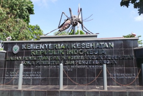 Pernah Ketemu Nyamuk Vegetarian? Museum Nyamuk Pangandaran Punya Koleksinya