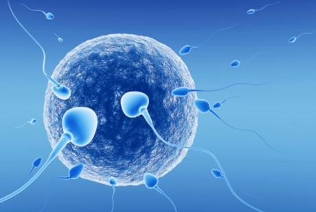 Mandul Karena Kondisi Ini, Program Bayi Tabung Bisa Jadi Solusinya