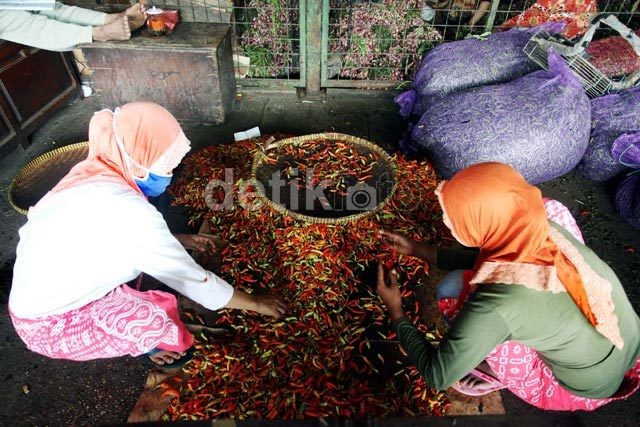 Sudah Gonta-ganti Menteri, Harga Cabai Tetap Naik-Turun Bak Roller Coaster