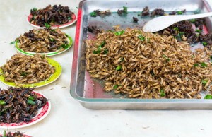 Akankah Serangga dan Makanan Hitam yang Sehat Digemari Tahun Depan? (1)