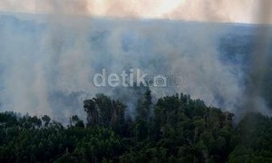 Selain Perda, UU P3H Juga Dinilai Memberi Peluang Korupsi