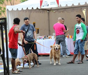 Pecinta Kucing dan Anjing Berkumpul di Extrapawganza 2014