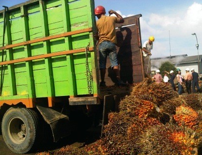 Rencana BUMN Perkebunan Jual Saham di Bursa Molor Lagi