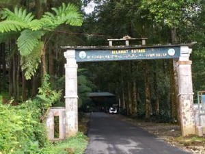 Lebih Keren dari Puncak, Silakan Tengok Taman Nasional Gunung Halimun Salak