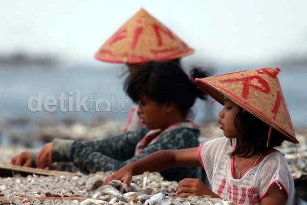 Dampak Pemberantasan Illegal Fishing Harga Ikan Bisa Turun 10%