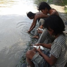 Ikan Mabuk di Sepanjang Kali Mas Jadi Rebutan Warga