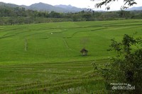 Pemandangan menuju lokasi Pemandangan menuju lokasi