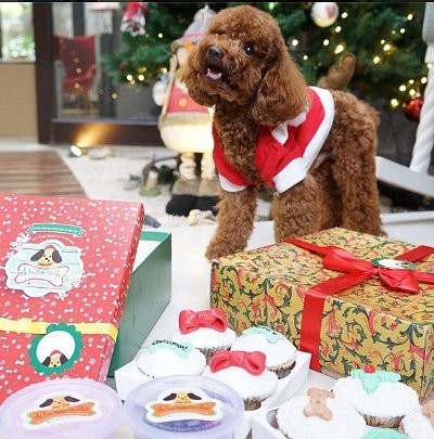 Begini Cara Gading dan Gisel Rayakan Natal 2014