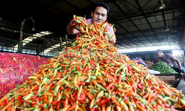 Libur Panjang, Harga Cabai Tembus Rp 90.000/Kg