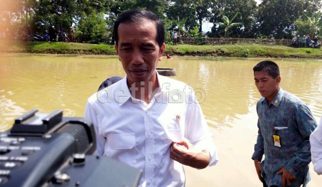 Oleh-oleh Jokowi dari Subang, Sodetan dan Tol Cikampek-Palimanan