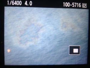 Pilot Hercules: Tumpahan Minyak Belum Bisa Dipastikan dari AirAsia