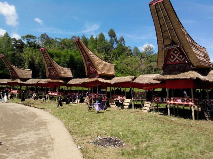 Upacara Kematian Bangsawan Tana Toraja Lamanya 9 Hari