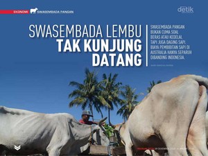 Swasembada Lembu Tak Kunjung Datang