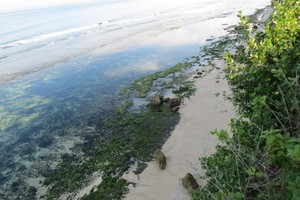 Tahukah Kamu? Pantai di Bali Ada yang Punya Lift