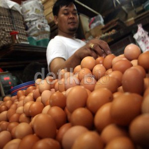 Harga Beras dan Telur Kompak Naik Jelang Tutup Tahun