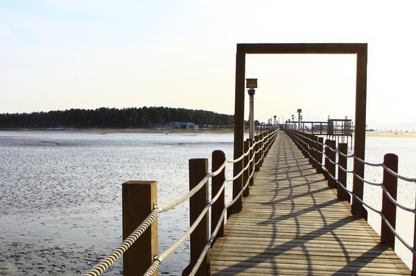 Korea Selatan Punya Pulau Anti Rokok