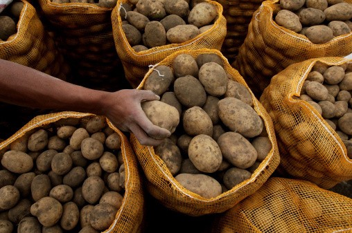 Inilah 4 Keuntungan Jika Konsumsi Bahan Makanan Lokal