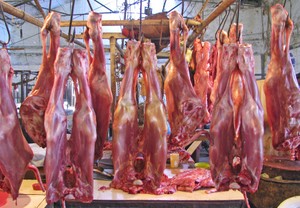 Ekspor Daging Halal Pakistan Capai Rekor Tertinggi