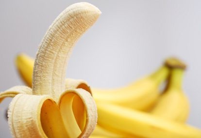 6 Kelainan pada Mr P dan Telur-telurnya