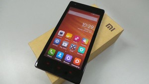 Terlalu Cepat Melesat, Xiaomi Diragukan