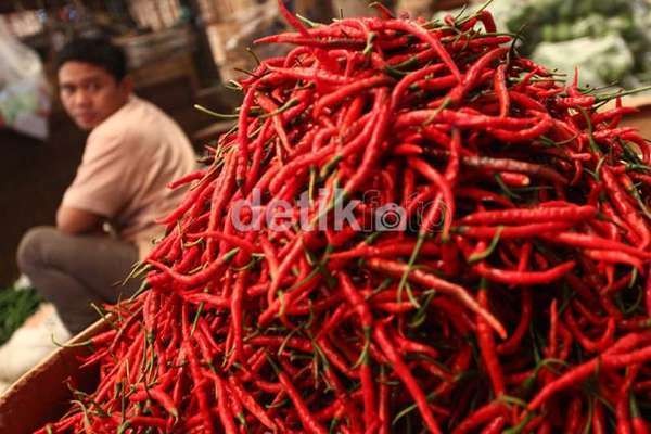 Mendag Gobel Klaim Harga Bahan Pokok Stabil di 2014 Kecuali Cabai