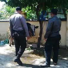 Dihadiahi Timah Panas, Seorang Pencuri Hewan Berhasil Kabur