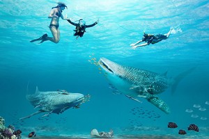 Eco Theme Park Terbesar di Batam, Bisa Berenang Bareng Hiu Paus
