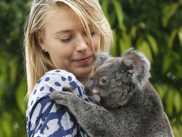 Ketika Sharapova Bermain dengan Koala