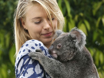 Ketika Sharapova Bermain dengan Koala