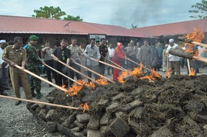 1,1 Ton Ganja Kering yang akan Diselundupkan ke Jakarta Dimusnahkan